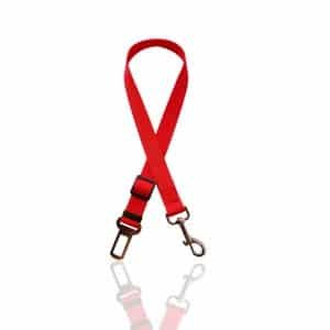 Cinturón de Seguridad